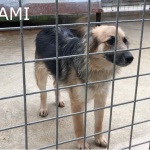 nami-2