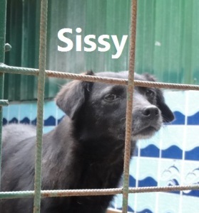 Sissy con nome