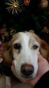 2017-01-14-PHOTO-00004271