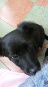 2017-01-30-PHOTO-00004536