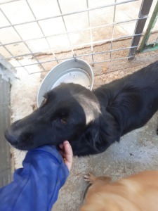 LEILA (8)