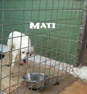 MATI (1)