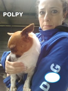 POLPY (1)