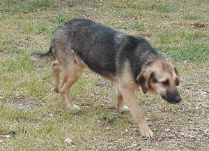FIUX3