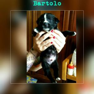 IMG-20170527-WA0006