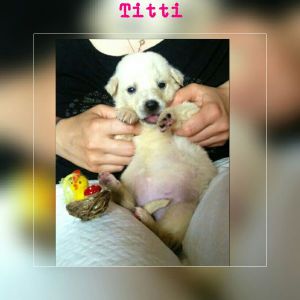 IMG-20170527-WA0007