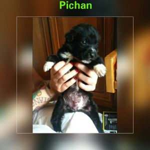 IMG-20170527-WA0009