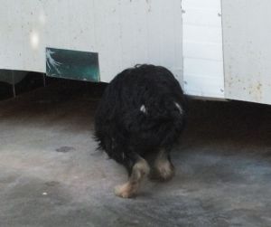 BELINDA (20)