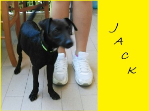 JACK2