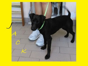 JACK3