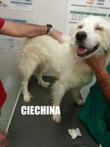CIECHINA
