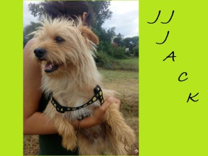 JJJACK