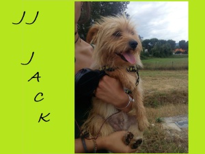 JJJACK2