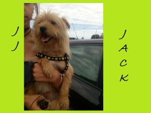 JJJACK3