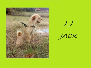 JJJACK4