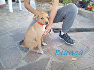 Bianca