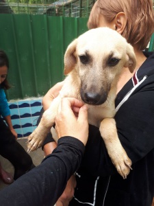 MUSOTTO (3)