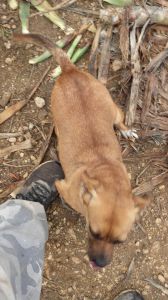IMG-20171208-WA0009