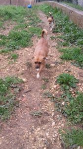 IMG-20171208-WA0010