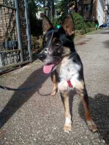 IMG-20190119-WA0175