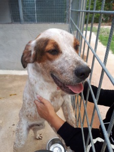 OMAR (10)