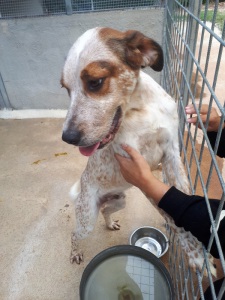 OMAR (11)