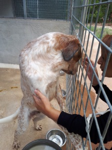 OMAR (12)