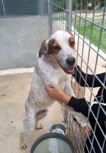 OMAR (13)