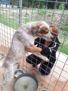 OMAR (6)