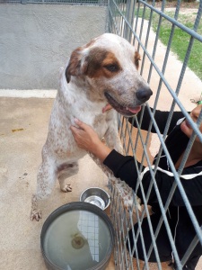 OMAR (8)