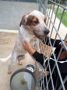 OMAR (9)