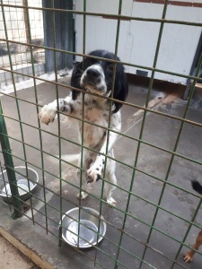 SHAKE (3)