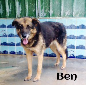 ben