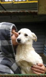 BIMBA (1)