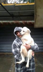 BIMBA (3)