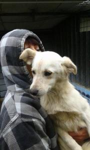 BIMBA (4)