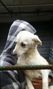 BIMBA (5)