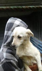 BIMBA (7)