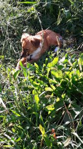IMG-20171106-WA0007
