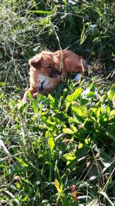 IMG-20171106-WA0008