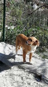 IMG-20171106-WA0009