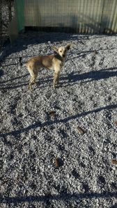 IMG-20171130-WA0013