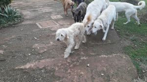 IMG-20171126-WA0000
