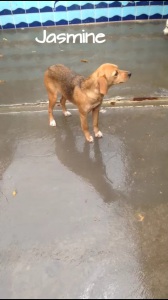 IMG-20171213-WA0007