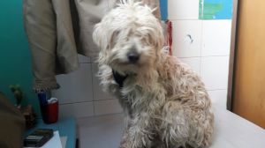 IMG-20171216-WA0007