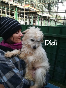 DIDI3