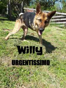WILLY