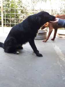 TESOROMIO2