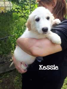 kessie07