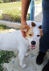 bruce7
